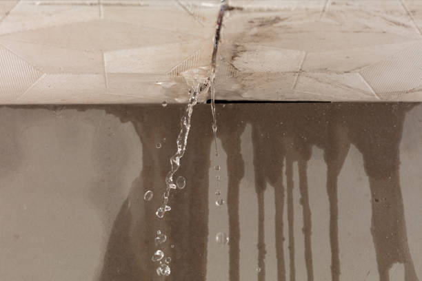 Professional Water Extraction technician working in Pinecliffe, CO